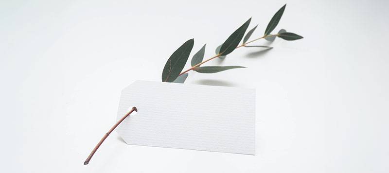 planta ozempic